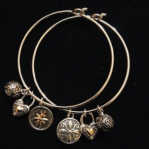 2 Stainless Steel Bangle Bracelet With 3 Charms